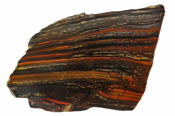 Polished Tiger Iron Stromatolite - Billion Years #129216